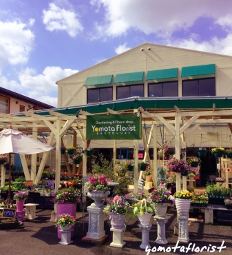 島根県出雲市の花屋 よもたフローリストにフラワーギフトはお任せください 当店は 安心と信頼の花キューピット加盟店です 花キューピットタウン